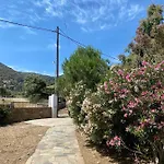 Cycladic Blue Andros *