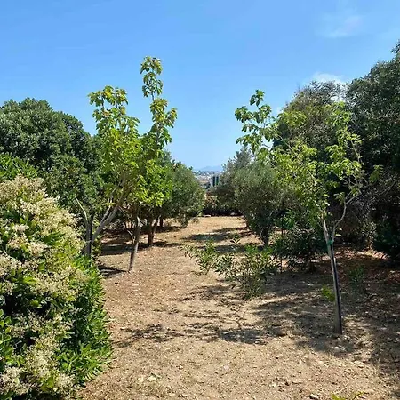 Cycladic Blue Andros * Koumari