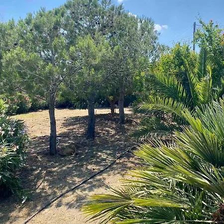 Cycladic Blue Andros *