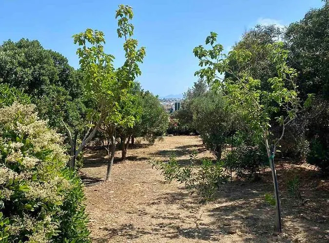 Cycladic Blue Andros * Koumari