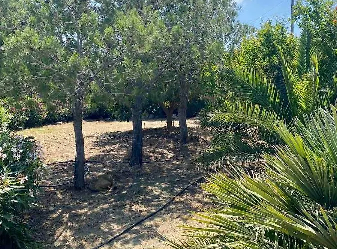 Cycladic Blue Andros *